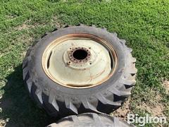 IMG_1126.jpeg