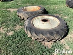 IMG_1119.jpeg