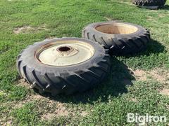 IMG_1121.jpeg
