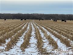 251.86+\- Acres Valley County, NE 