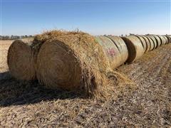 Millet (Forage) Hay Big Rounds 