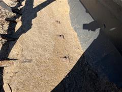 IMG_8555.jpeg