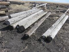 Wooden Utility Poles 