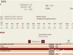 503Pedigree.JPG