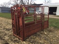 Palco Cattle Head Catch Chute 