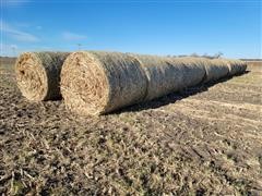 Full Grain Milo Hay Round Bales 