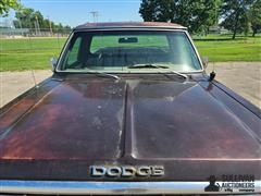 20250620_103059.jpg