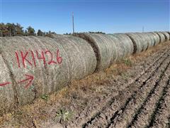 Wheat Hay Big Rounds 