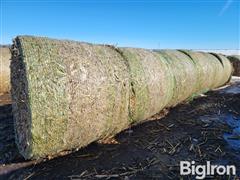 Corn Stalk Bales 