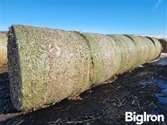 Corn Stalk Bales 