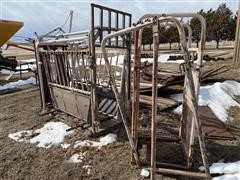 Livestock Systems Cattle Chute & Tub 