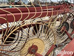 IMG_6501.jpeg