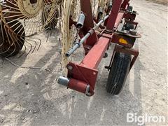 IMG_6512.jpeg