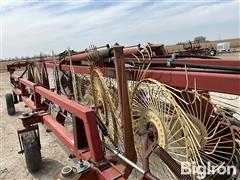 IMG_6515.jpeg