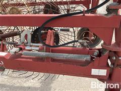 IMG_6492.jpeg