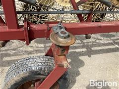 IMG_6503.jpeg
