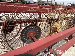 IMG_6500.jpeg