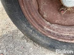 IMG_6498.jpeg