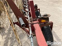 IMG_6513.jpeg