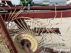 IMG_6506.jpeg