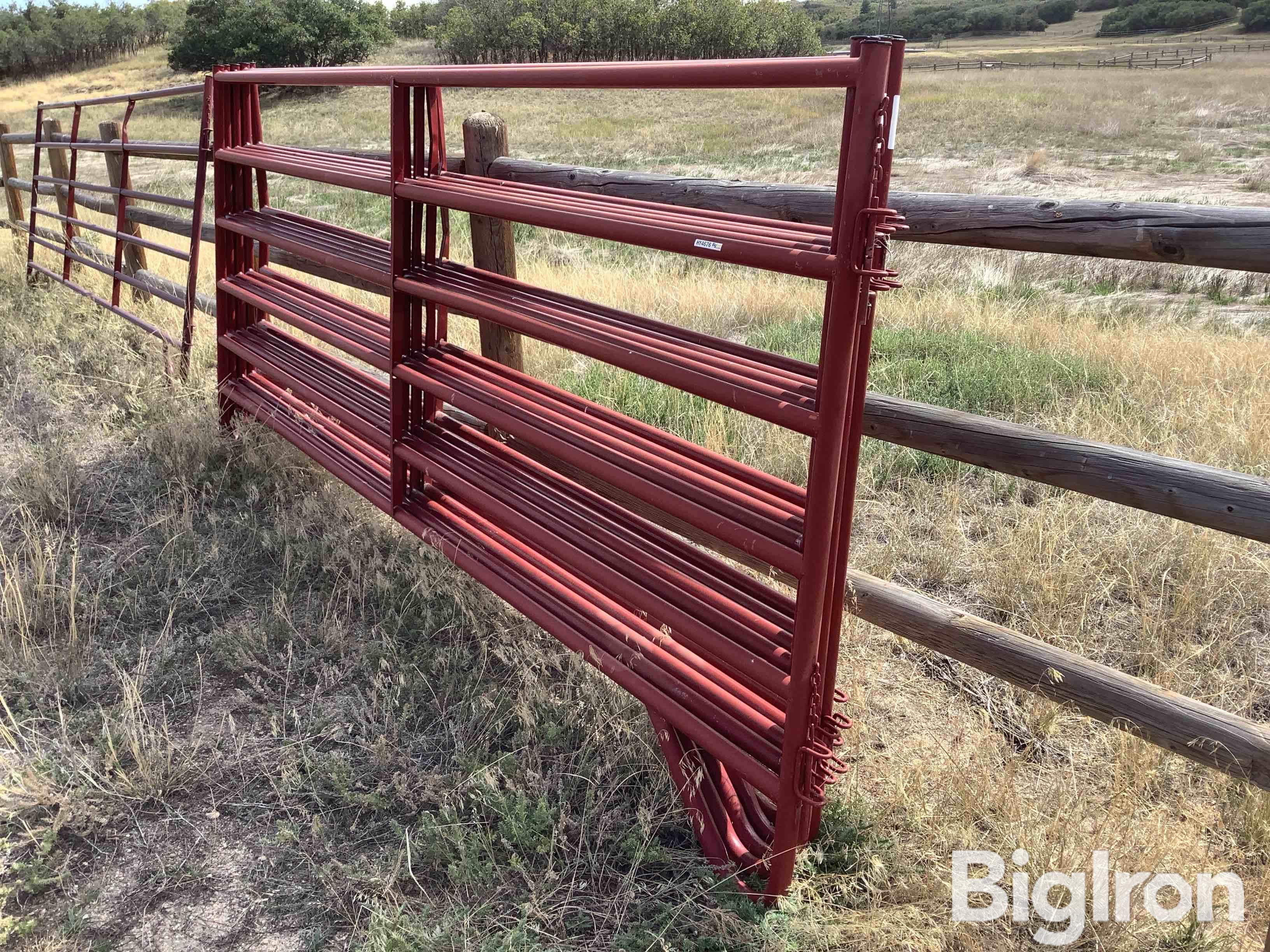 Tarter Livestock Corral Panels 