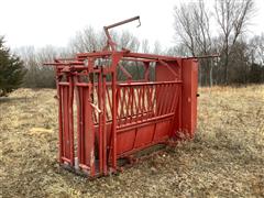 Cattle Working Chute 