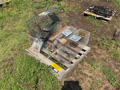 Animal Live Traps 