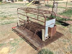 Pig Furrowing Crate 