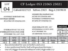 Lot 4 Pedigree.JPG