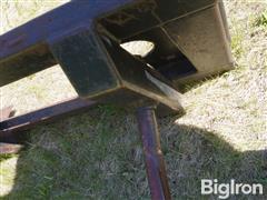 DSC07457.JPG