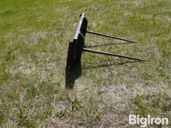 DSC07449.JPG