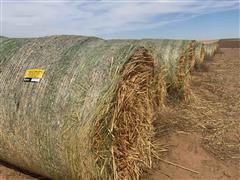 Sudangrass Feed Hay 