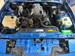 IMG_9324~photo.JPG