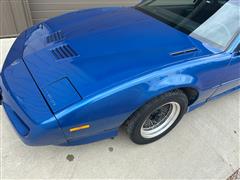 IMG_9244~photo.JPG