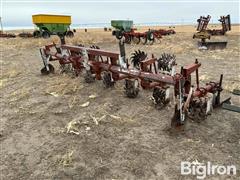 Lilliston 6R30" Cultivator W/ Ditchers 