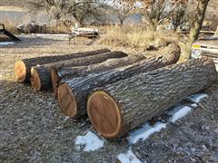 Veneer Grade Walnut Logs 