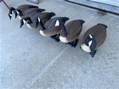 G&H Decoys Goose Decoys 