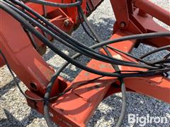 IMG_7365.jpeg