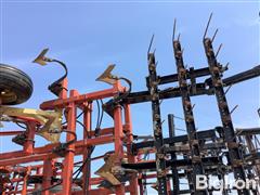 IMG_7329.jpeg