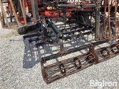 IMG_7333.jpeg