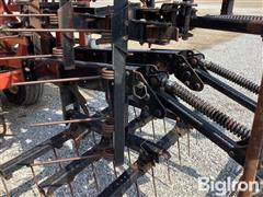 IMG_7341.jpeg