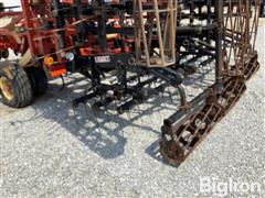 IMG_7332.jpeg
