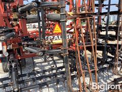 IMG_7334.jpeg