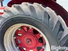 IMG_2465.jpeg