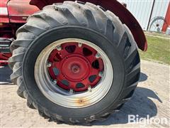 IMG_2464.jpeg