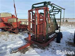 Big Valley Portable Cattle Chute 