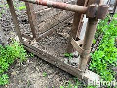 IMG_3013.JPG