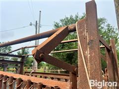 IMG_3019.JPG