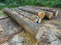 Ash, Hackberry & Mulberry Logs 