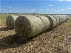 Sorghum Sudan Round Bales 